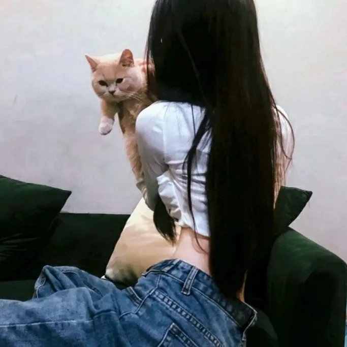 愿睡如梦